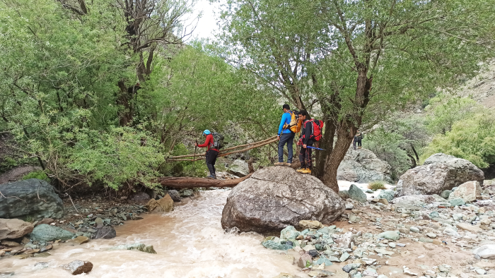 فواید طبیعت گردی